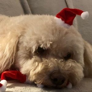 Meet your Posher, Marilyn